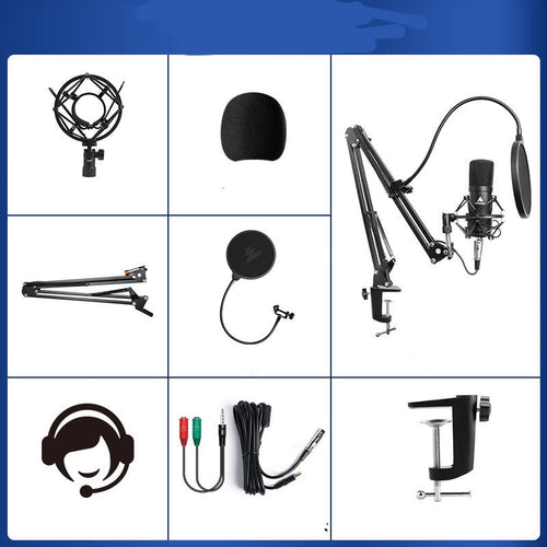 Portable Device Singing Condenser PC Audio Recording Mic Wired Vocal