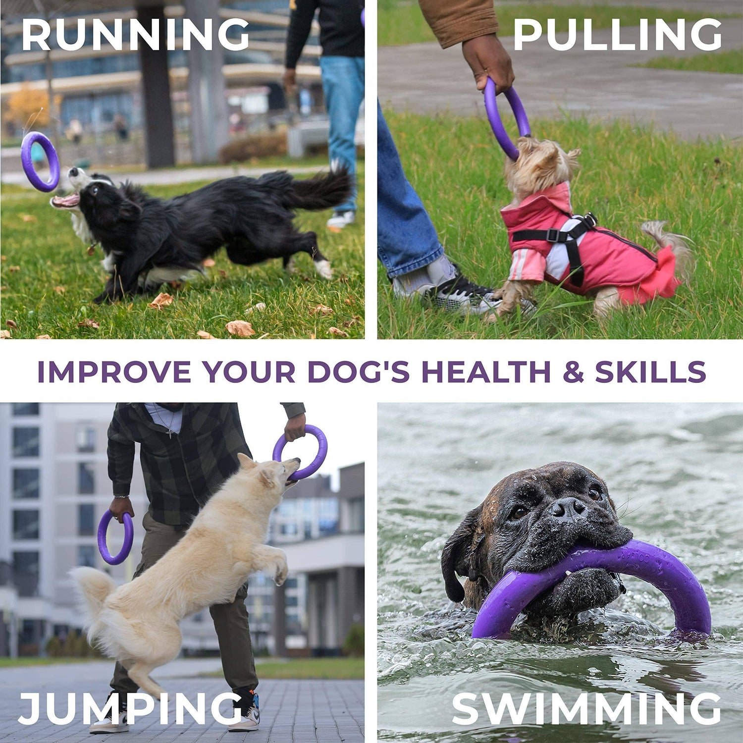 Puller Outdoor Dog Ring Toys   Dog Fetch Toy &amp; Tug of War Dog Toy for