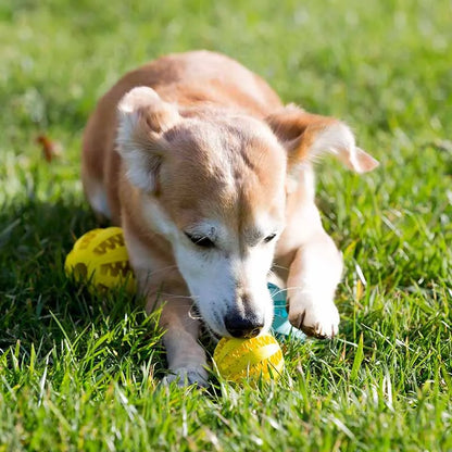 5cm Natural Rubber Pet Dog Toy
