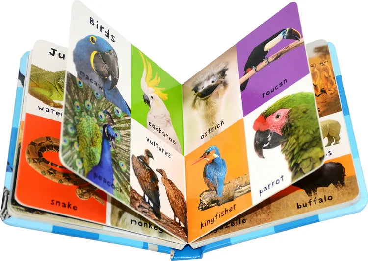 First 100 Animals Words Book for Kids Early Education Hardcover Board Book Baby Learning English Picture Books Montessori Toys