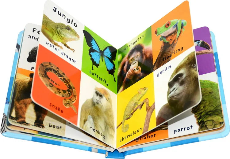 First 100 Animals Words Book for Kids Early Education Hardcover Board Book Baby Learning English Picture Books Montessori Toys