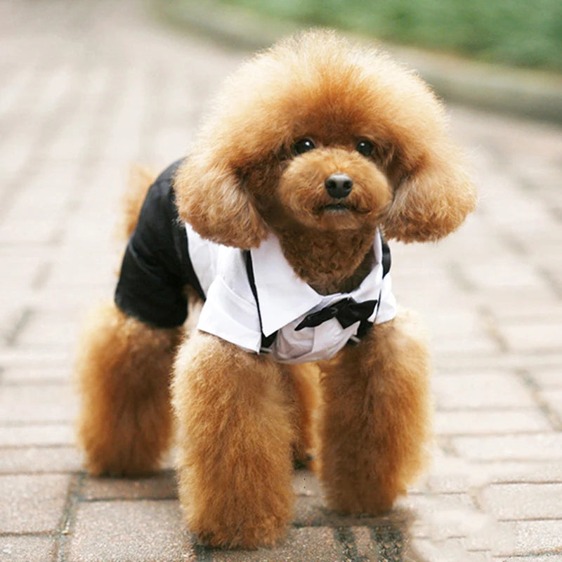 Dog Tuxedo Suit Costume