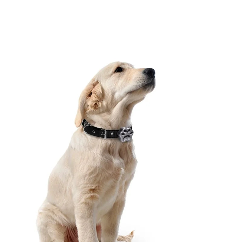 3G GPS Locator V40 Animal Cat Collar Cheap Personal GPS WIFI V40 Alarm Mini Dog Collar 3G Smart Pet GPS Tracker RYDV40