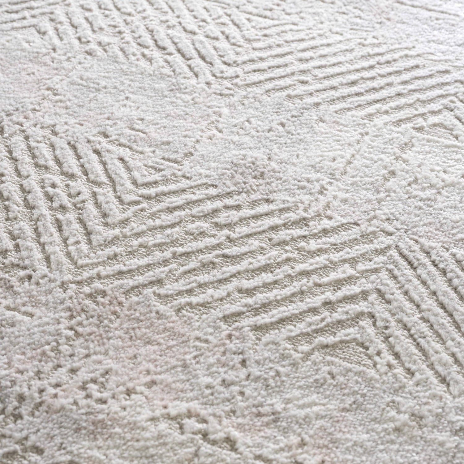 Bucky Area Rug