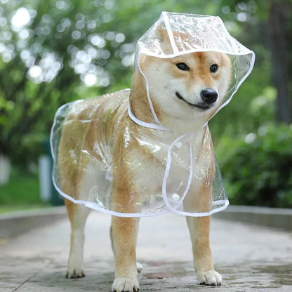 Pet Dog Puppy Transparent Rainwear Poncho