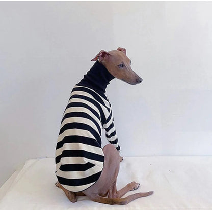 Cute High Neck Colorblock Italian Greyhound Outfit