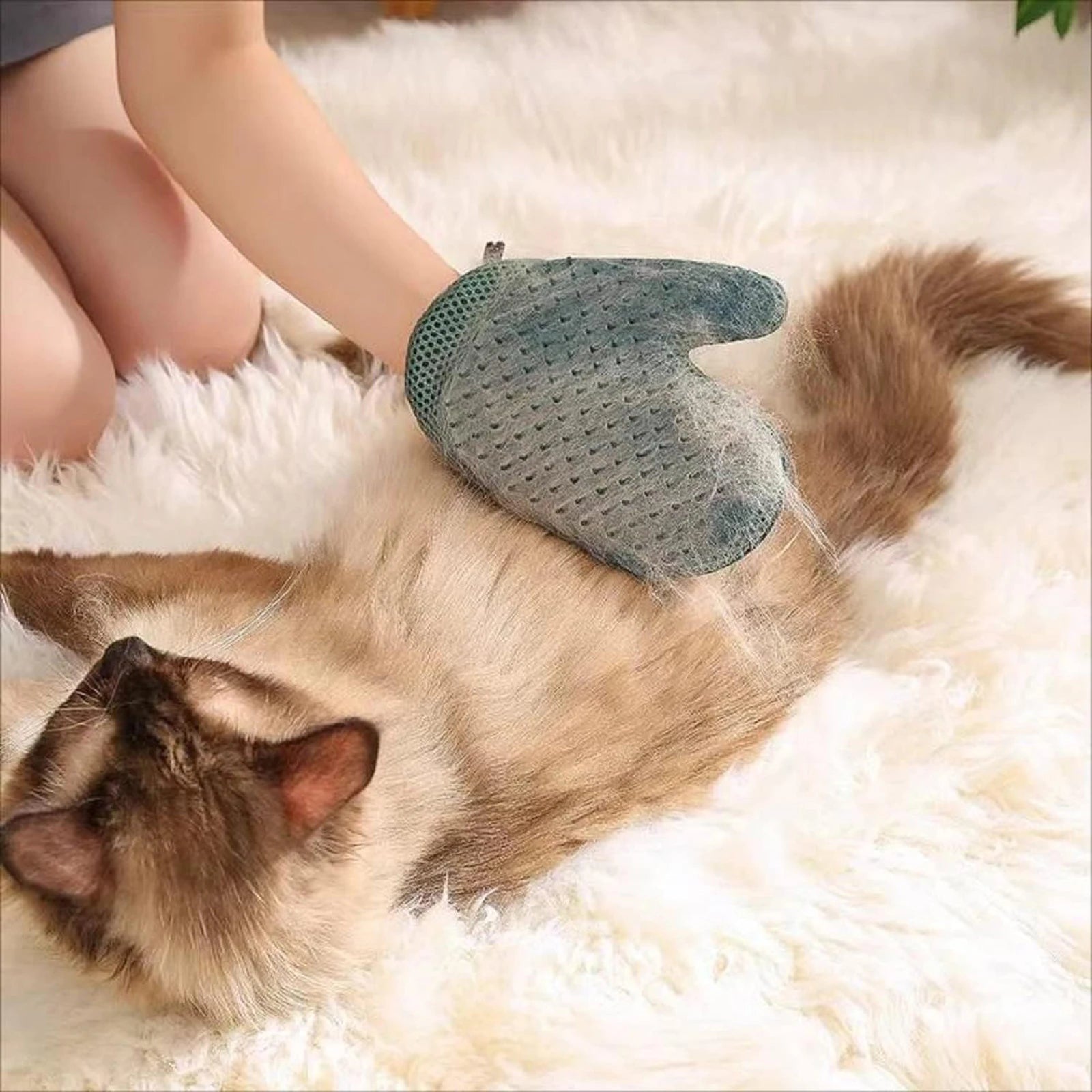 2 in 1 Cat Fur Glove & Pet Hair Remover Glove, Dog Grooming Glove Brush for Shedding, Massage