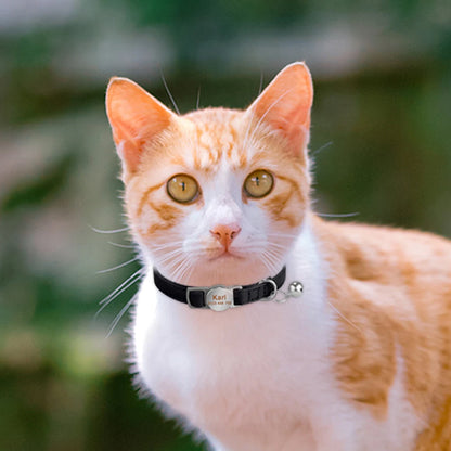 Personalized Engraved Leather Dog/Cat Collar