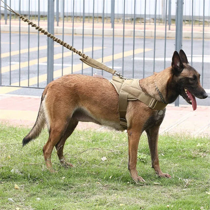 Tactical Big Dog Harness Chest Vest