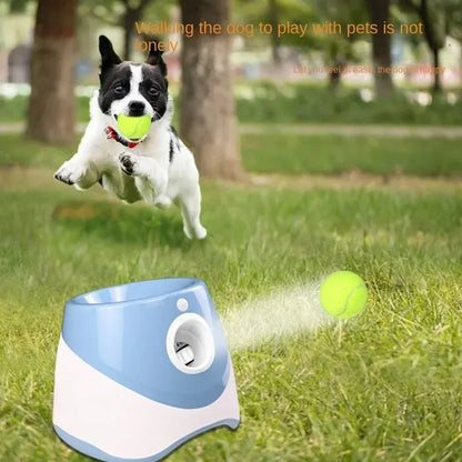 Pet Dog Automatic Ball Launcher Chase Toy