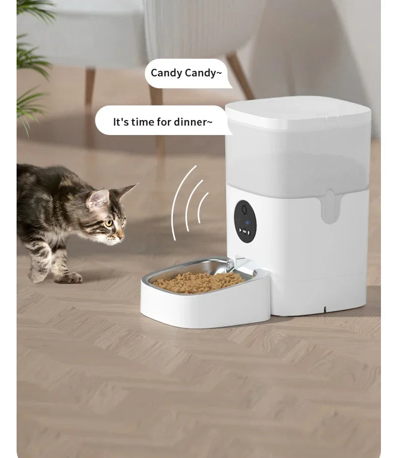 6L Intelligent Pet Feeder with WiFi Smart Automatic Cat Dog Food Water Dispenser ABS Stainless Steel Material Includes Cam-era