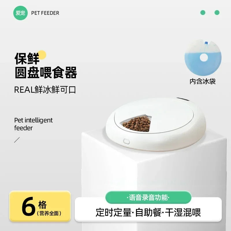 New pet smart feeder APP recording cat automatic feeder unplugged cat rice wet food