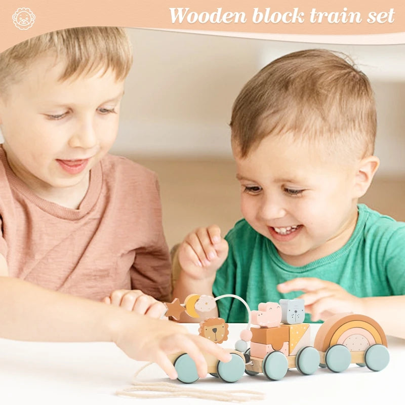 Baby Montessori Toys Wooden Train Baby Educational Toys Wooden Rainbow Blocks Trolley Baby Learning Toys Children Birthday Gifts