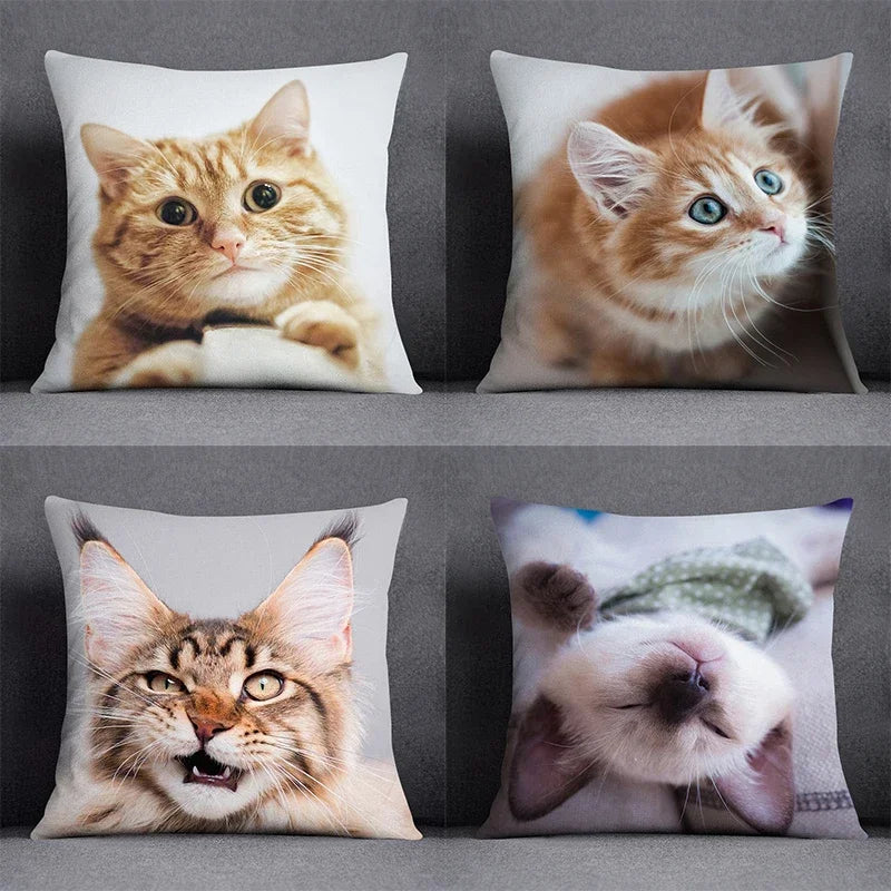 Cat series decorative pattern pillowcase pet shop children's room decoration  living  bed  whole set