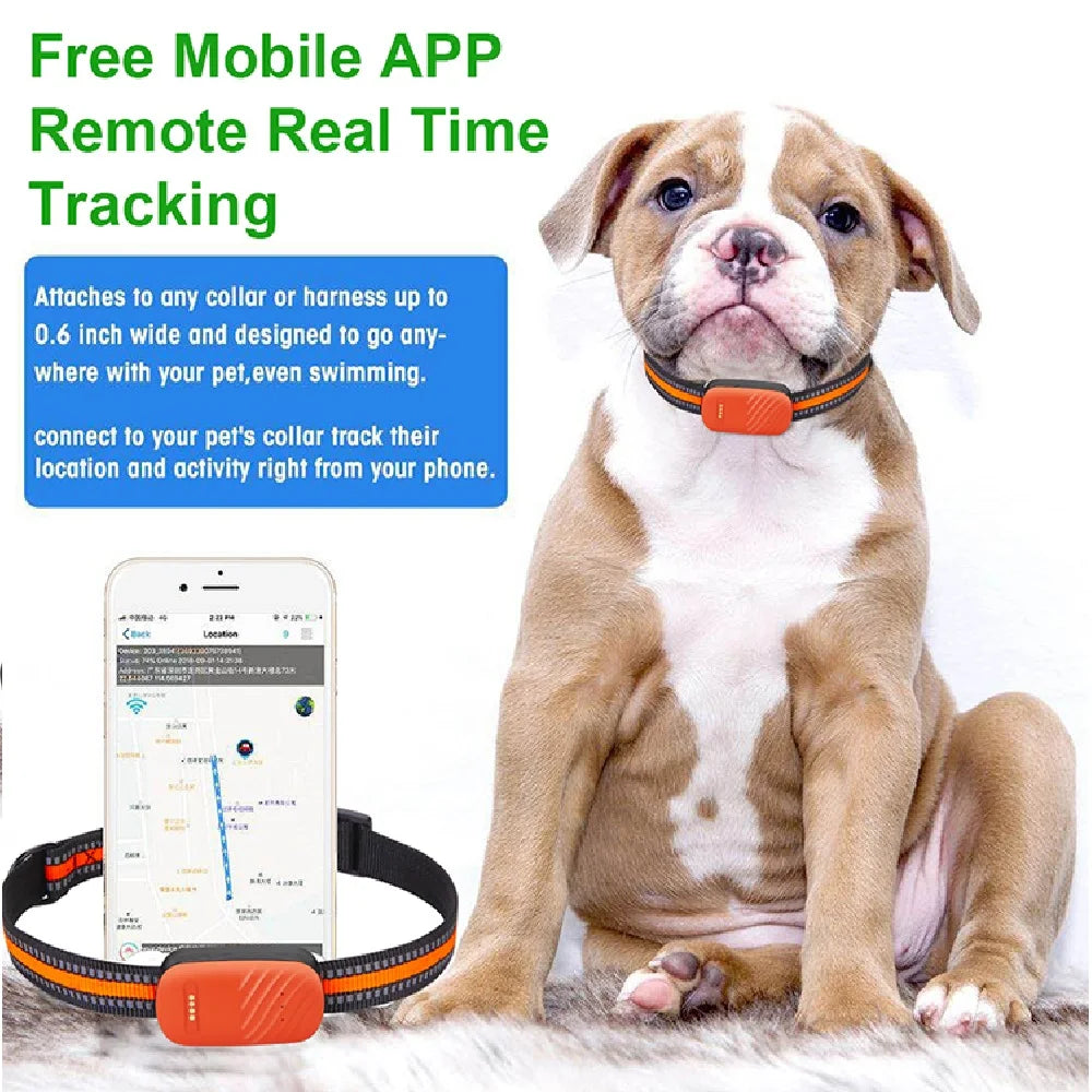 4G Pets GPS Tracker Waterproof Anti-Lost Locator Smart Collar Find Device Ringing Remote Control APP for Dog Cat Animals RYDG61