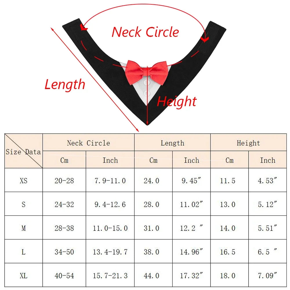 Gentleman Dog Tuxedo Bandana