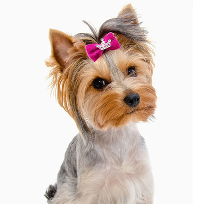 Pet Dog Bow Hairpin