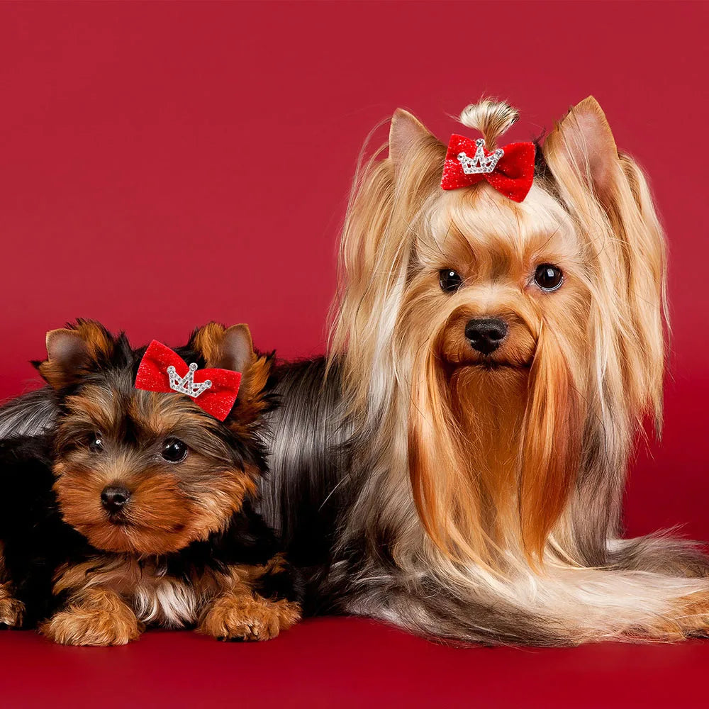 Pet Dog Bow Hairpin
