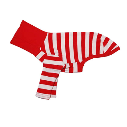 Cute High Neck Colorblock Italian Greyhound Outfit