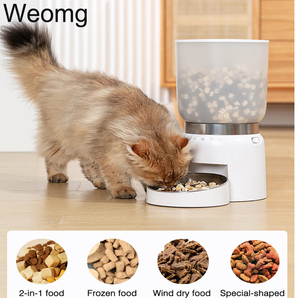 4L Pet Feeder Timing Smart Automatic Dog Feeder For Cat Dogs WiFi Dry Food Dispenser Voice Recorde Stainless Steel Bowl