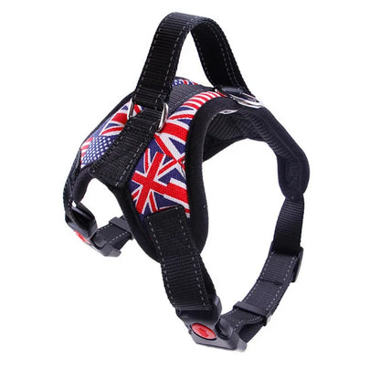 Nylon Heavy Duty Dog Pet Harness and Collar