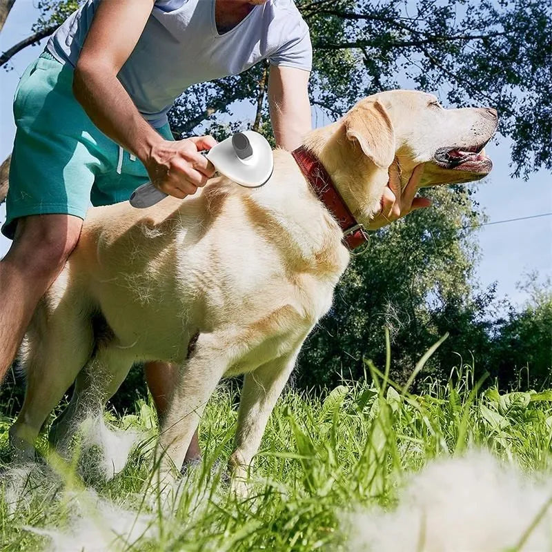 Pet Dog Grooming Brush