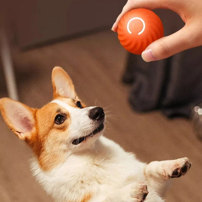 Smart Electric Gravity Jump Ball Dog Toy