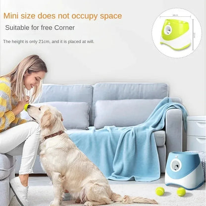 Pet Dog Automatic Ball Launcher Chase Toy
