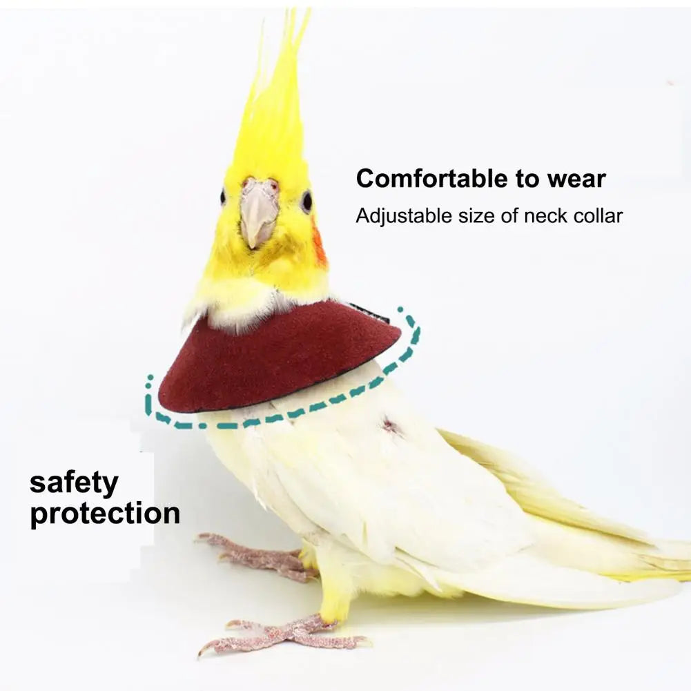 Adjustable Parrot Recovery Collar Anti Biting Injury Fastener Tape Fixing Bird Collar Pet Bird Accessory