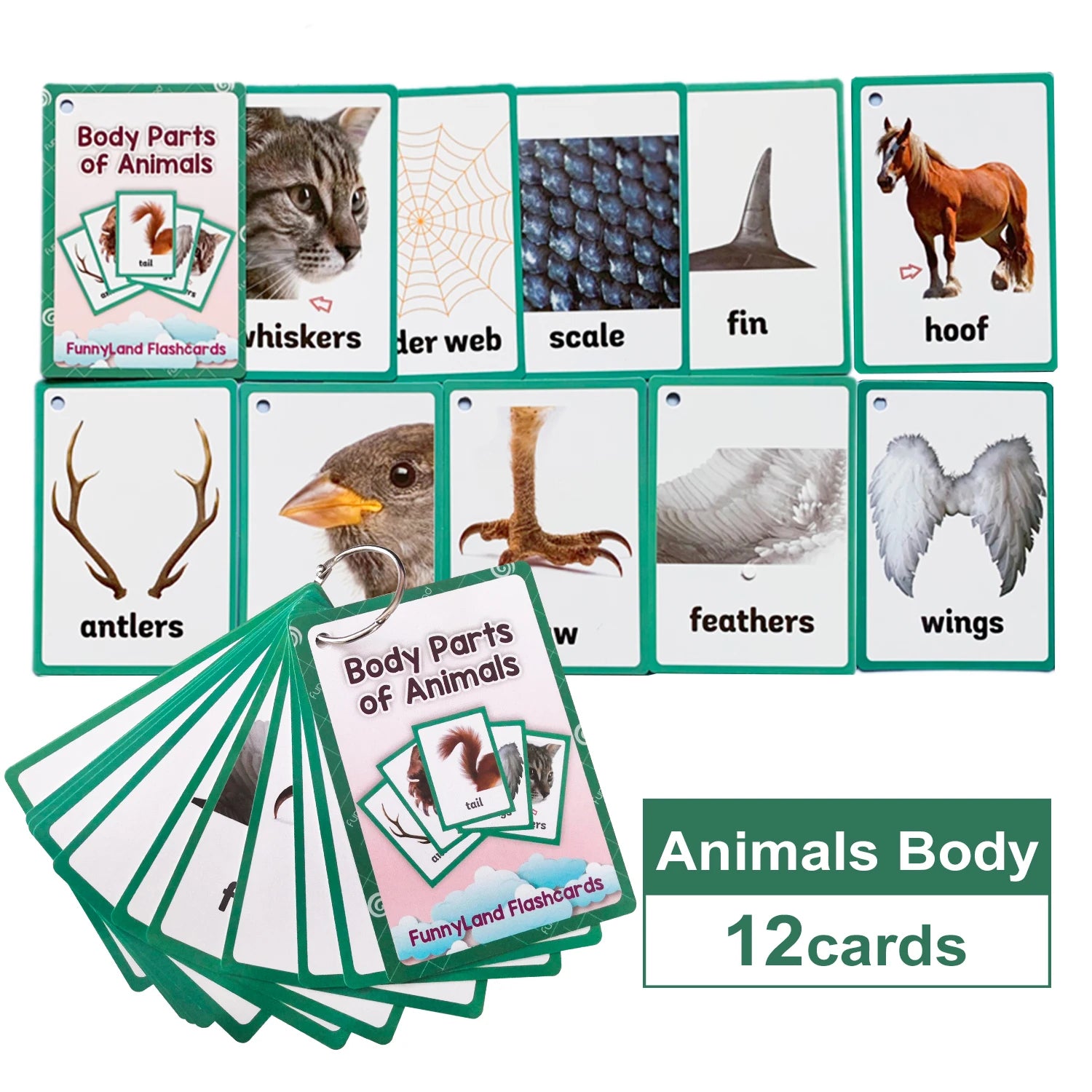 Farm Animal Wild Animals Learning English Words Cards For Kids Child Educational Toys Preschool Teaching Aids Classroom Decor