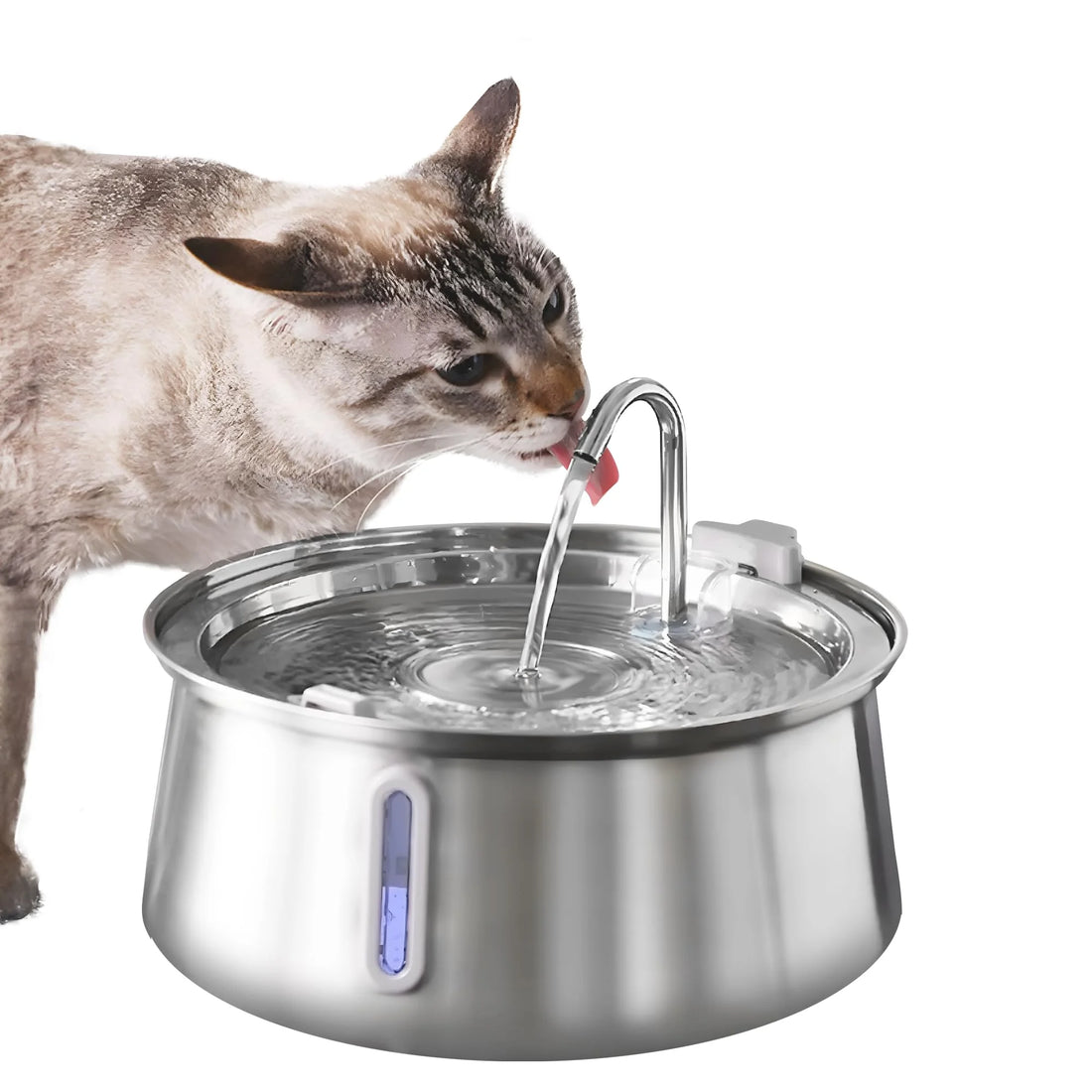 Stainless Steel Pet Automatic Drinking Fountain