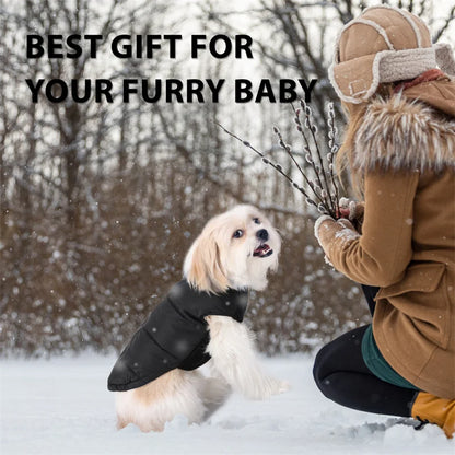Winter Dog Vest