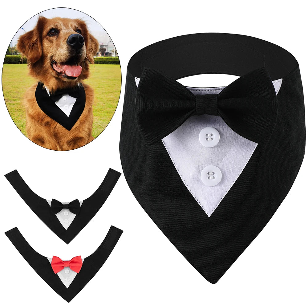 Gentleman Dog Tuxedo Bandana