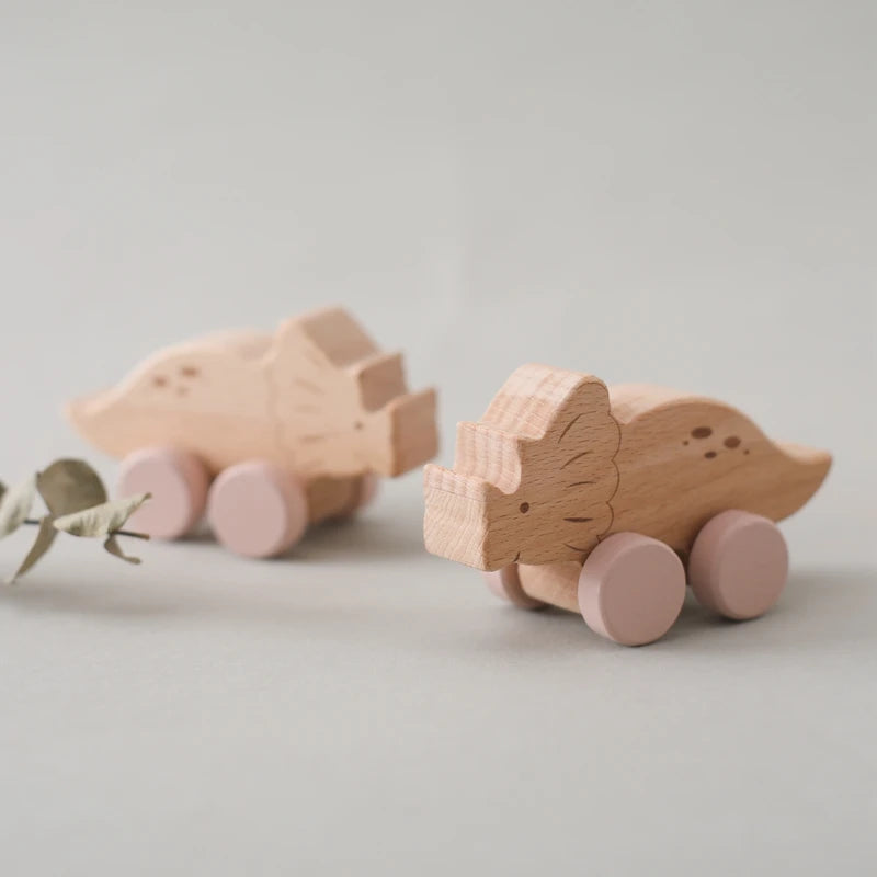 1PC Baby Toy Beech Wood Block Cartoon Dinosaur Car Educational Montessori Toy Baby Teething Play Gym Baby Birthday Gift Products