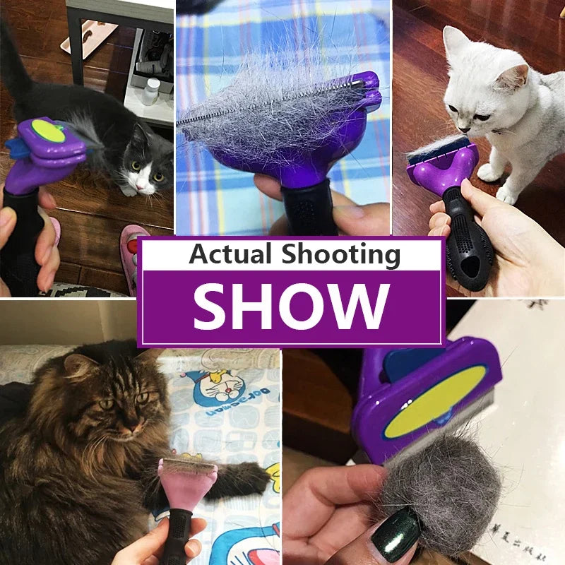 Pet Dog Hair Removal Brush