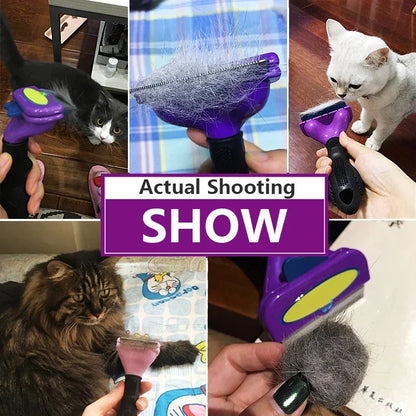 Pet Dog Hair Removal Brush