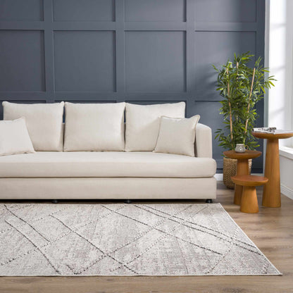 Baqer Bone &amp; Taupe Area Rug