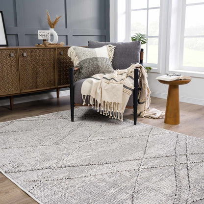 Baqer Bone &amp; Taupe Area Rug