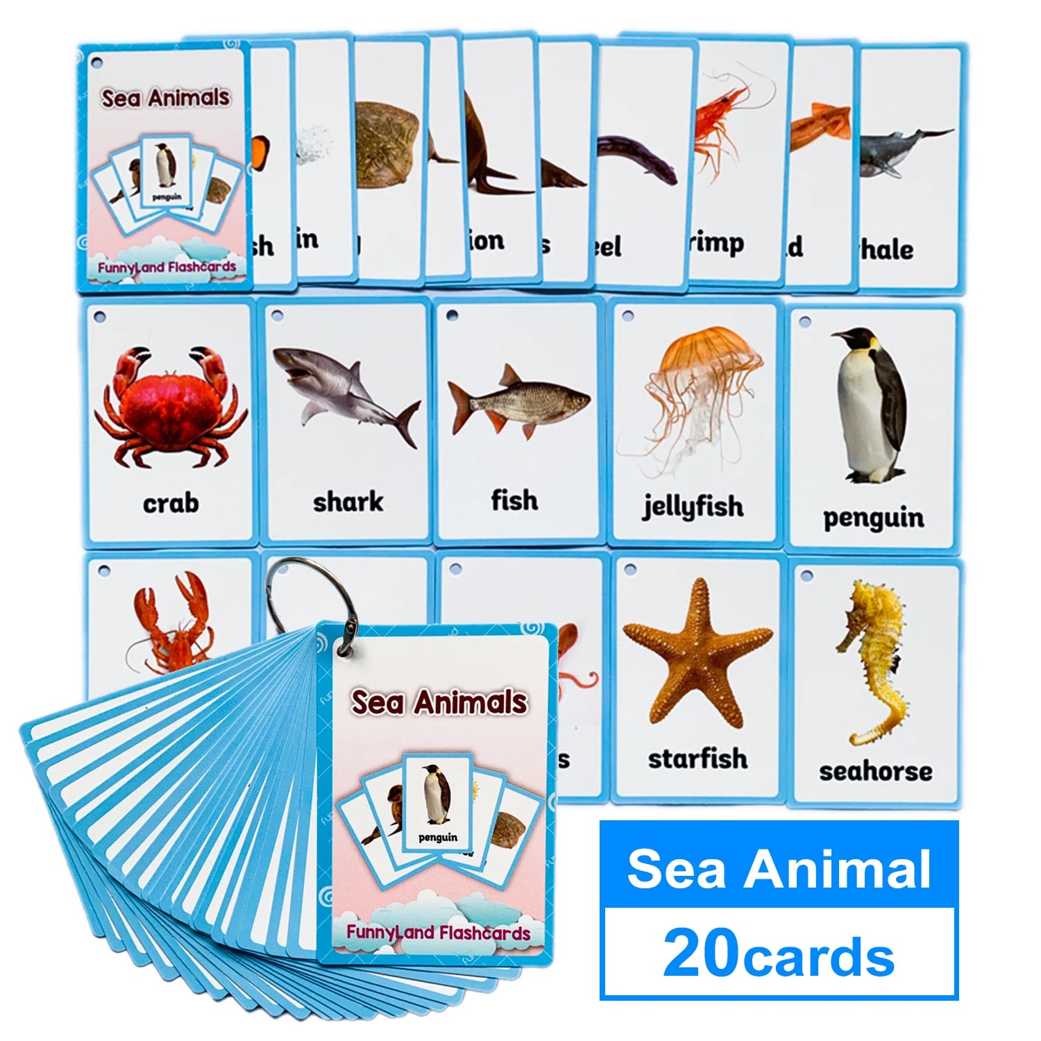 Farm Animal Wild Animals Learning English Words Cards For Kids Child Educational Toys Preschool Teaching Aids Classroom Decor