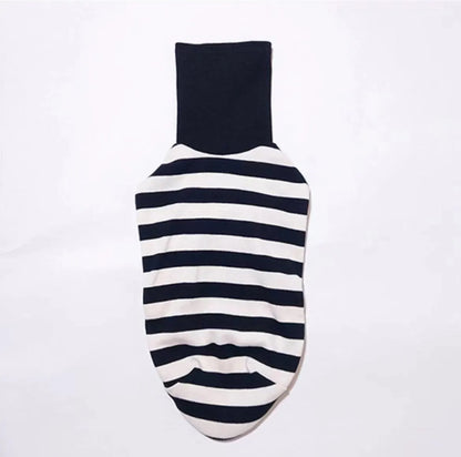 Cute High Neck Colorblock Italian Greyhound Outfit