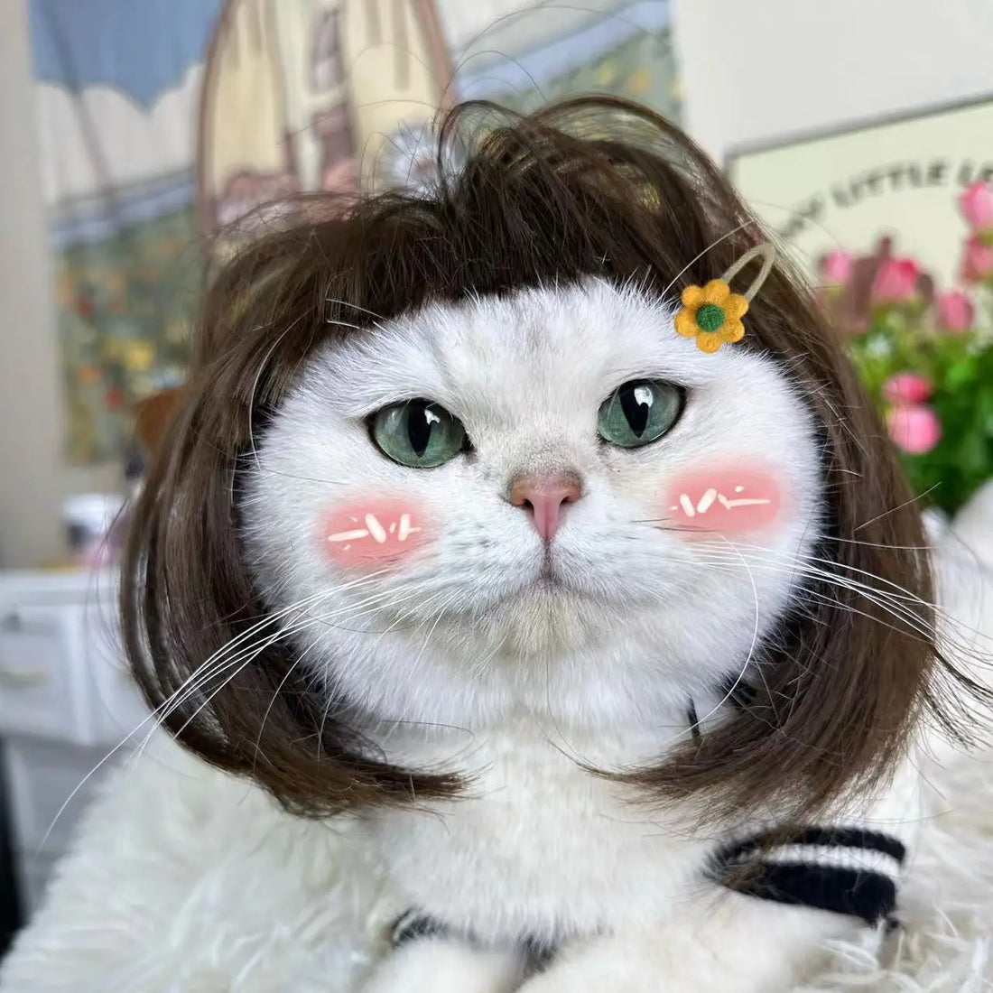 DIY Hairstyle Pet Wig