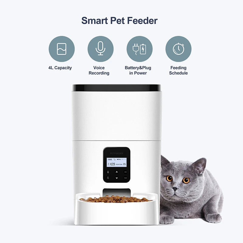 Automatic Auto Cat Dog Intelligent Timer Smart Pet Feeder Smart Automatic Microchip Cat Dog Pet Feeder Mangeoire Food Bowl