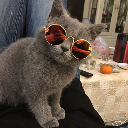 Lovely Vintage Round Cat Sunglasses
