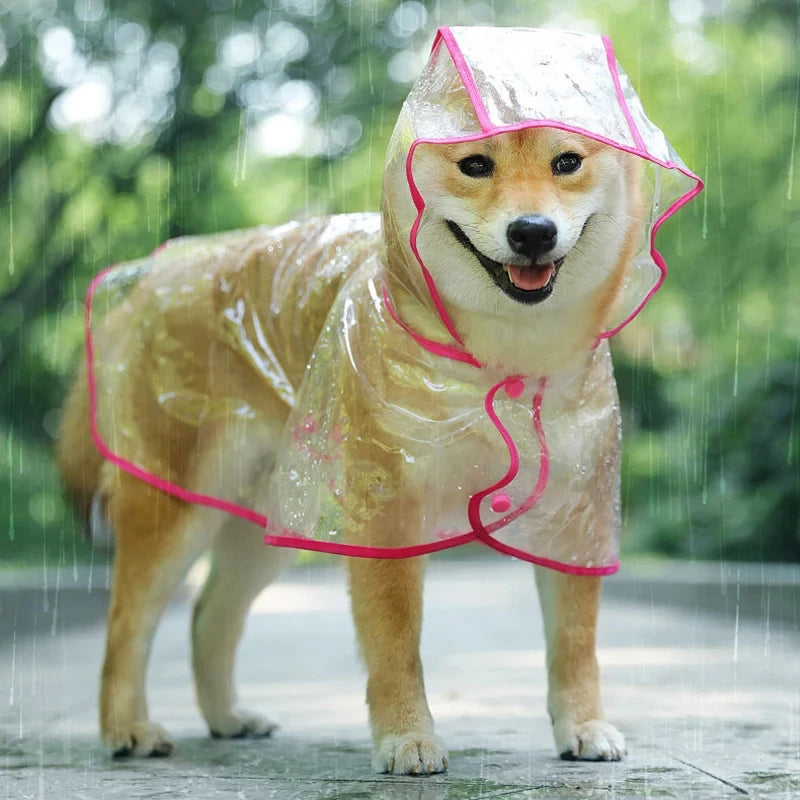 Pet Dog Puppy Transparent Rainwear Poncho