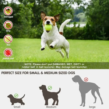 Pet Dog Automatic Ball Launcher Chase Toy