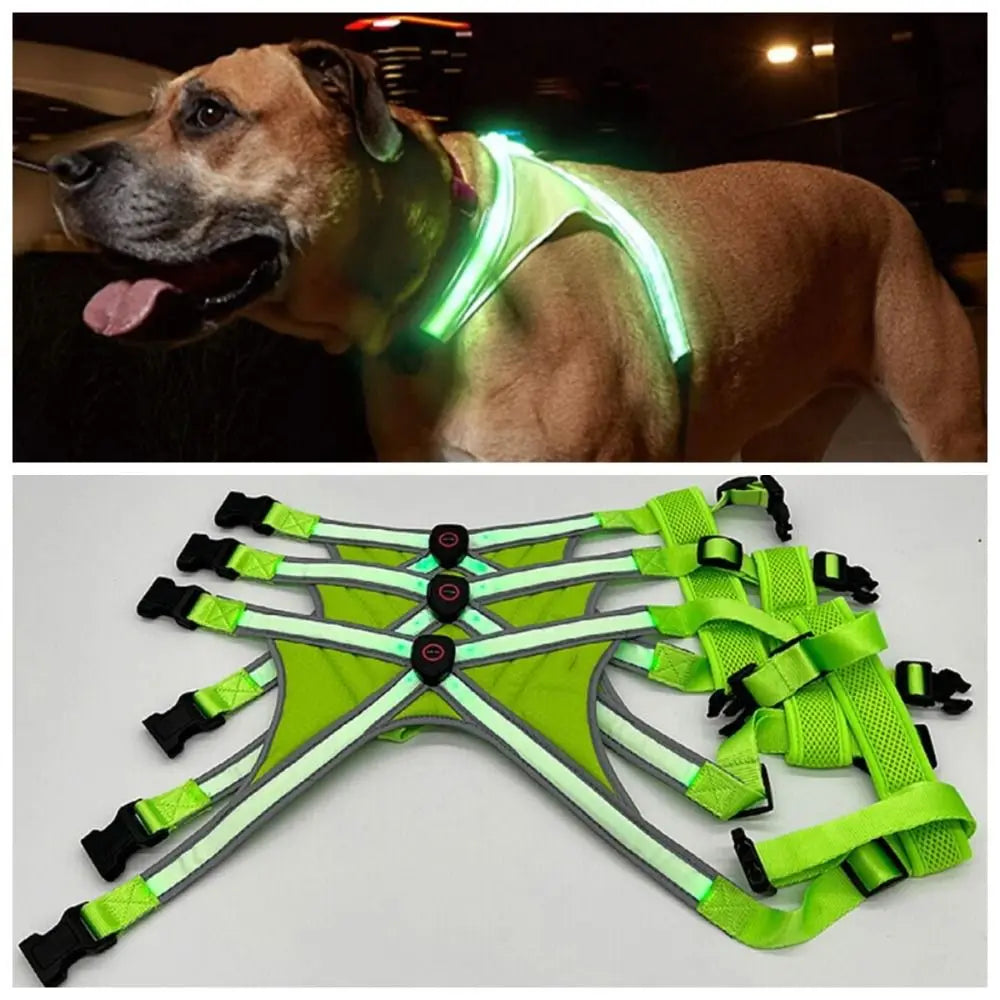 Adjustable LED Light Up Dog Harness Rechargeable Glowing Pet Vest Harness Safety Soft LED Pet Collar Fits Medium Large Dogs