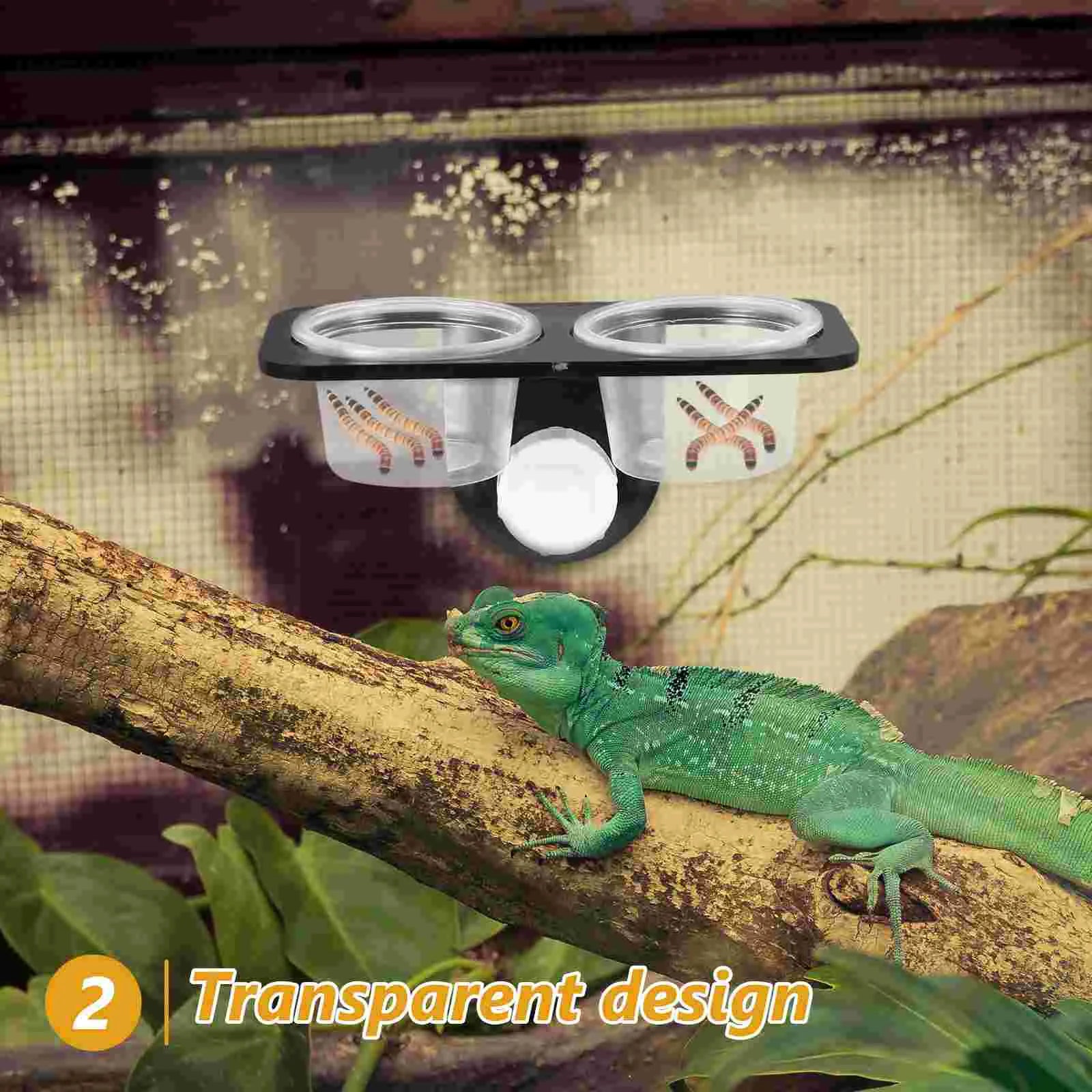 for Reptiles Lizard Supplies Gecko Leopard Terrarium Accessories Chameleon Tank Water Cup Bowls Food Feeder Pet Bearded Dragon