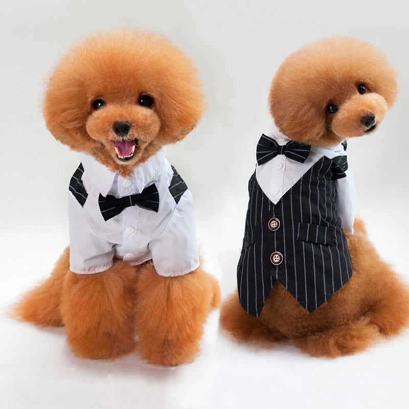 Dog Tuxedo Suit Costume