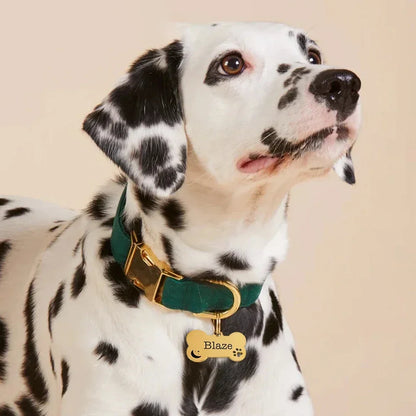 Personalized Dog ID Tag Free Engraving