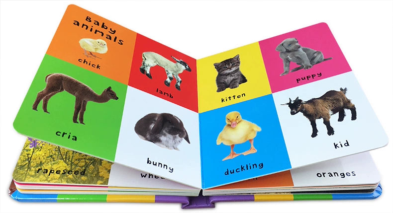 First 100 Animals Words Book for Kids Early Education Hardcover Board Book Baby Learning English Picture Books Montessori Toys